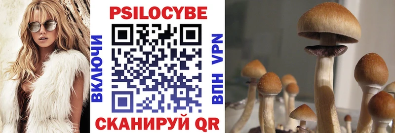Галлюциногенные грибы Cubensis  Симферополь 
