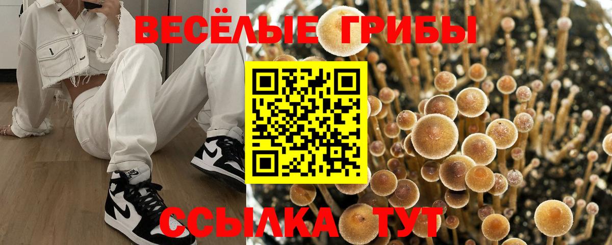 Псилоцибиновые грибы прущие грибы  Псилоцибиновые грибы GOLDEN TEACHER  Вход с VPN  Симферополь 