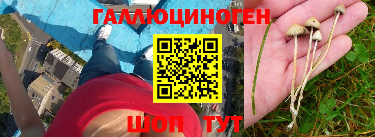 Галлюциногенные грибы Magic Shrooms Симферополь